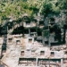 the most significant relationship between the largest ecosystem in vietnam and ecosystems around the world 7337