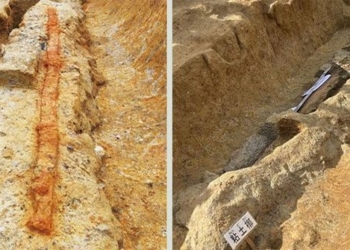 the mysterious dream of a 3 2m tall giant in japan 125509