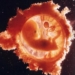 the mystery of human formation 6230
