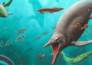 the oldest snake in the world revealed in the arctic 250 million years ago 126366