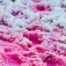 the phenomenon of pink snow is beautiful and fascinating but also a warning for our planet 124688