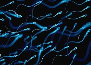 the potential of contraceptive drugs for men 125846