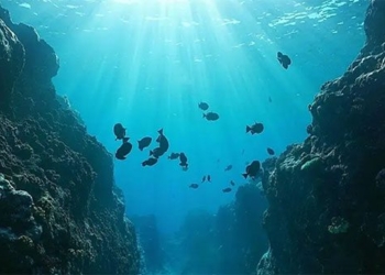 the sound of the sea in binh duong causes scientists to be intrigued for many years 124911