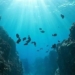 the sound of the sea in binh duong causes scientists to be intrigued for many years 124911
