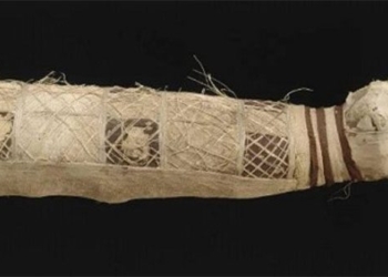 the thousand year old cat with 5 legs and 3 tails 102279