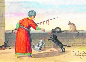 the unexpected position of cats with religion and the arab world 125515