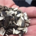 the vietnamese people sit eating street food then dispose of a startup transforming it into unique products order 126735