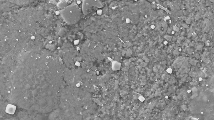 Table salt found on the Winchcombe meteorite.