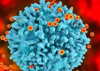 third patient cured of hiv thanks to stem cell transplant 125946