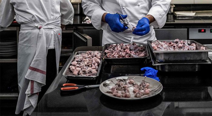 A chef preparing frog meat in France