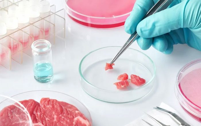 Currently, over 100 companies worldwide are working to create cell-based proteins.