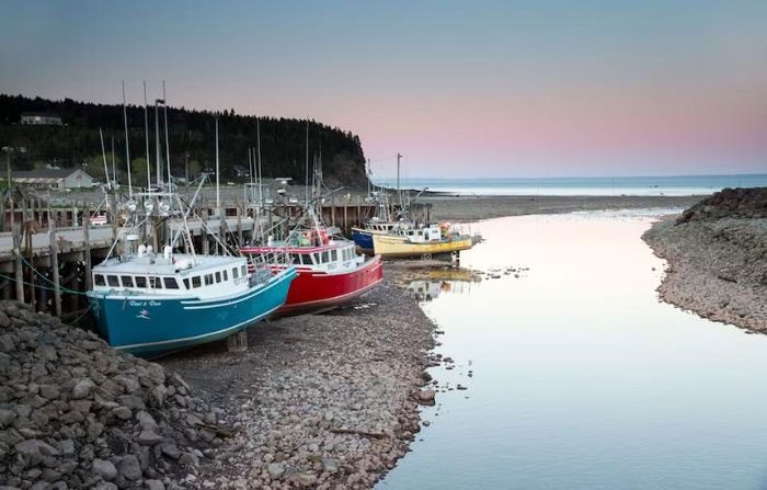 Fishing boats resting on the beach during low tide at Fundy Bay.
