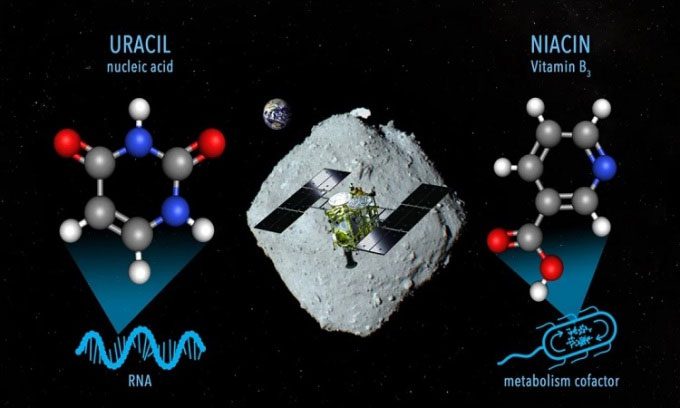 Some organic molecules found in samples from Ryugu.