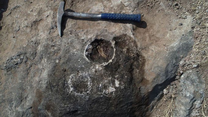 One of the newly discovered dinosaur egg nests in India.