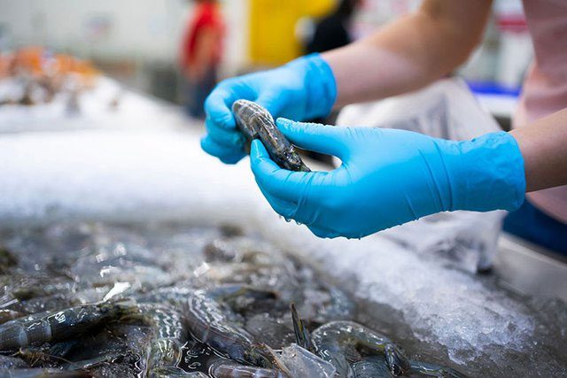 Most of the shrimp exported from Vietnam is processed as peeled shrimp.