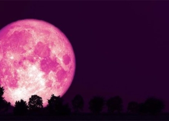 tonight also waiting for pink dress to appear 126774