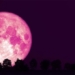 tonight also waiting for pink dress to appear 126774