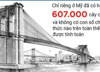 top 12 most modern bridges in the world 125815