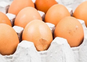 top 4 types of chicken eggs for 2 cooking methods that many people eat every day 125330