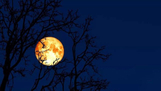 Called the Worm Moon because this is when worms start to emerge from the ground.