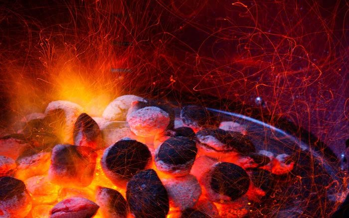 During the combustion of coal, carbon, hydrogen, and other elements do not disappear