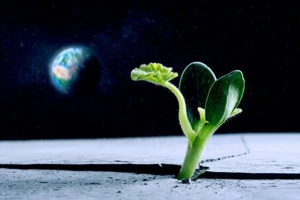 Solving the food issue, humans can settle on multiple planets.