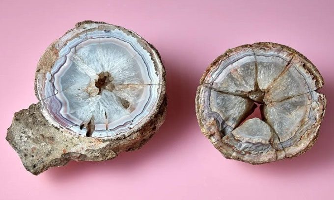 The agate stone inside a 60-million-year-old dinosaur egg.