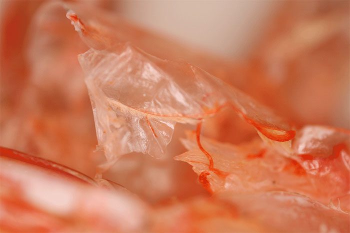 British scientists have successfully created a biodegradable bag made from shrimp shells.