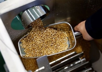 turning rice into safe plastic brings hope to fukushima after nuclear disaster 126260
