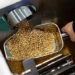 turning rice into safe plastic brings hope to fukushima after nuclear disaster 126260