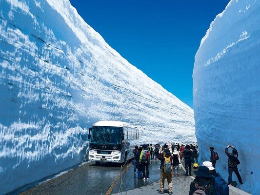 The walking path between the "Snow Wall" designed alongside the bus route.