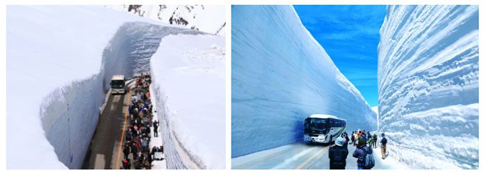 This phenomenon is known as the Snow Wall, or Yuki-no-Otani