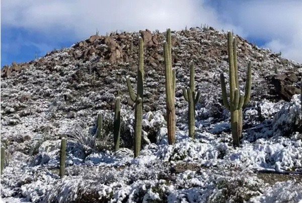 A tourist also captured snow images in the Sonoran Desert.