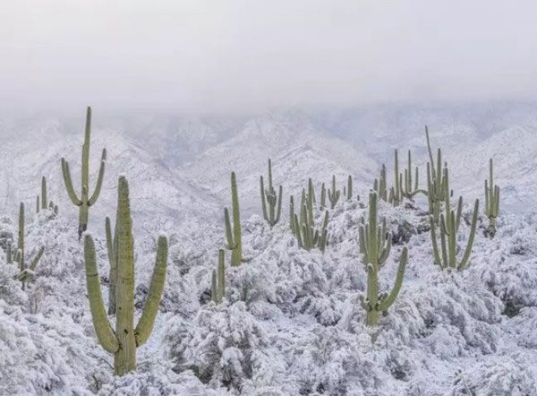 Snow covers the hottest desert in North America.
