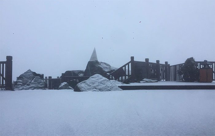 Around 5 AM, the summit area of Fansipan, which is 3,143 meters high in Lao Cai, experienced snowfall.