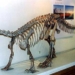 type long skeleton has hot color 6415
