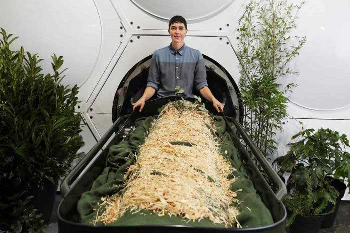 The process of composting deceased bodies into reusable soil for planting trees.