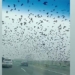 unexpected appearance of giant dan bird flying on highway 125787