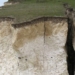 unexpected big nut appears on seven sisters stone wall 126381