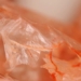 unexpected seafood species could become an environmental protection weapon vietnam is now the king of export 126684