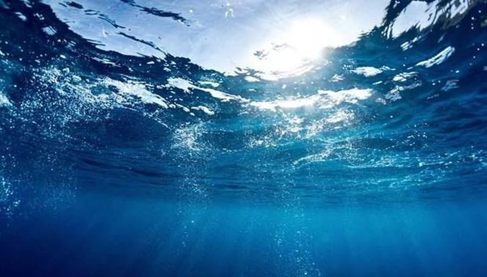 Aquatic bacteria use special "antennas" to harness solar energy.