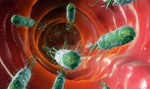 H. Pylori is a type of bacteria that lives and thrives in the human stomach