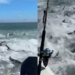 video hilarious scenario hundreds of eels wildly in the sea 126117