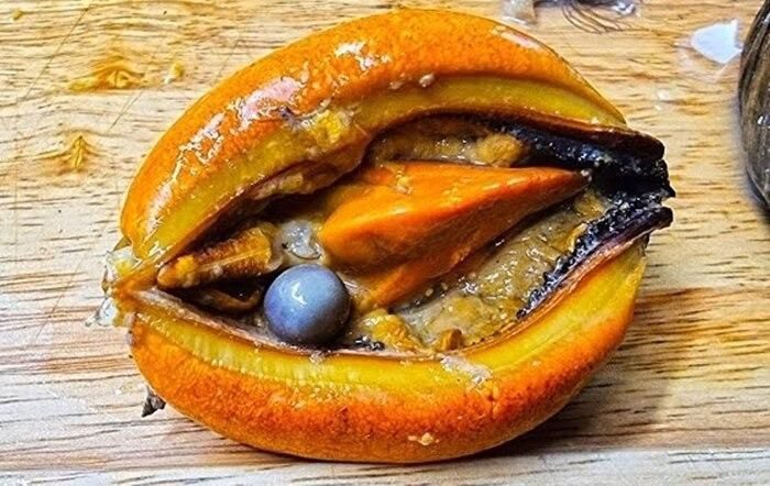 The black pearl that Kim discovered in a red mussel.
