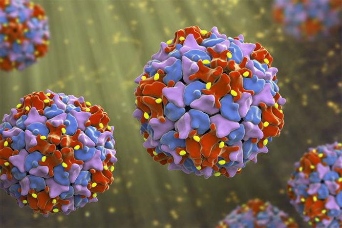 RNA Virus