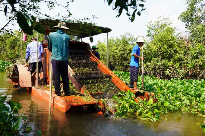 Local residents using machines to remove water hyacinth on a river in Thủ Thừa District, Long An.