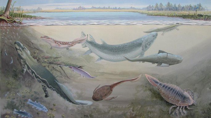 Devonian sea monster area at what is now Waterloo Farm - South Africa
