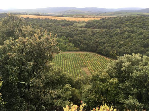 Vineyard in France located above an ancient meteorite impact crater