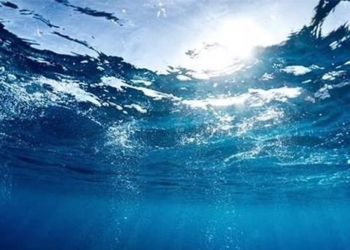 water bacteria using antenna to harvest solar energy 126240