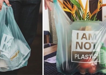 what is biodegradable plastic bag 125261